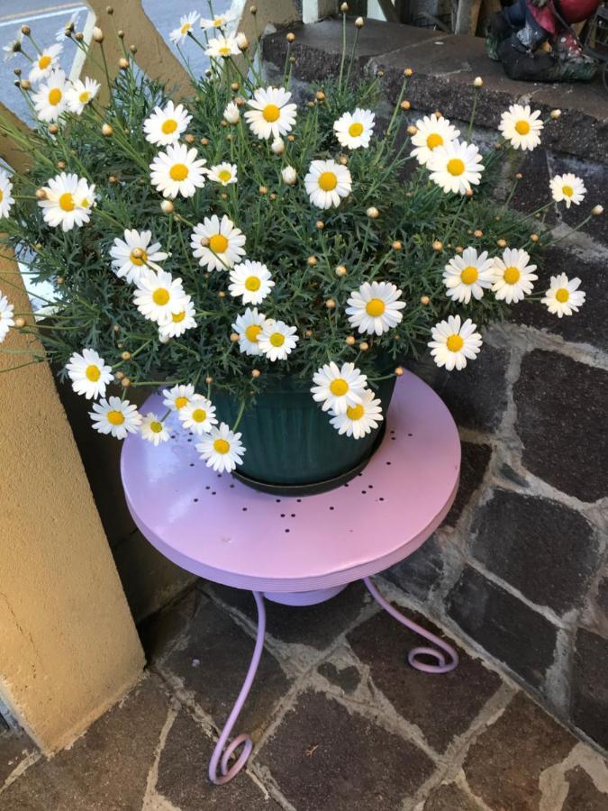 La S'Volta Vanzago Bed And Breakfast מראה חיצוני תמונה