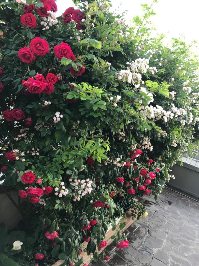 La S'Volta Vanzago Bed And Breakfast מראה חיצוני תמונה